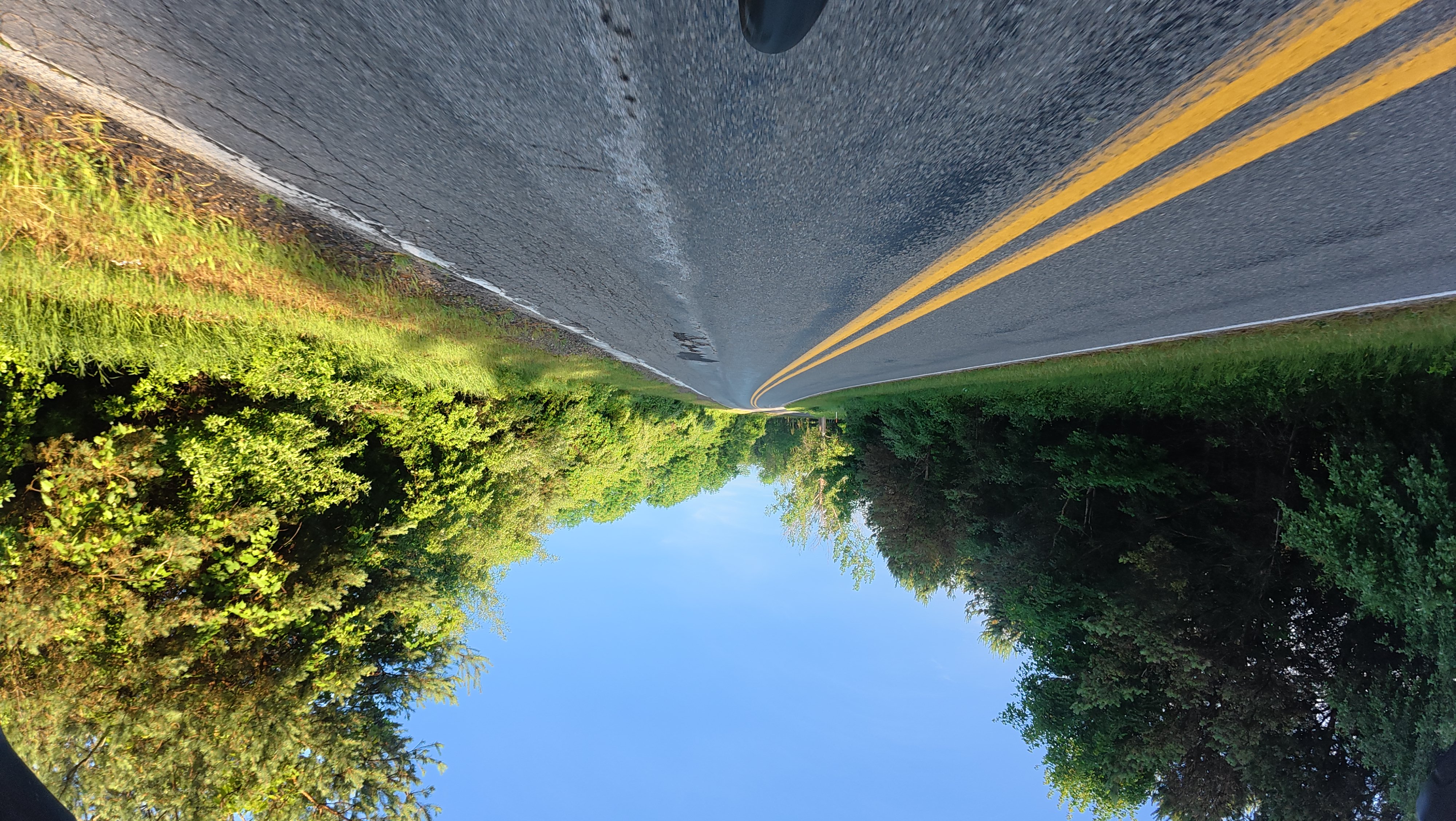 Family photo at Mac Woods during the trip.