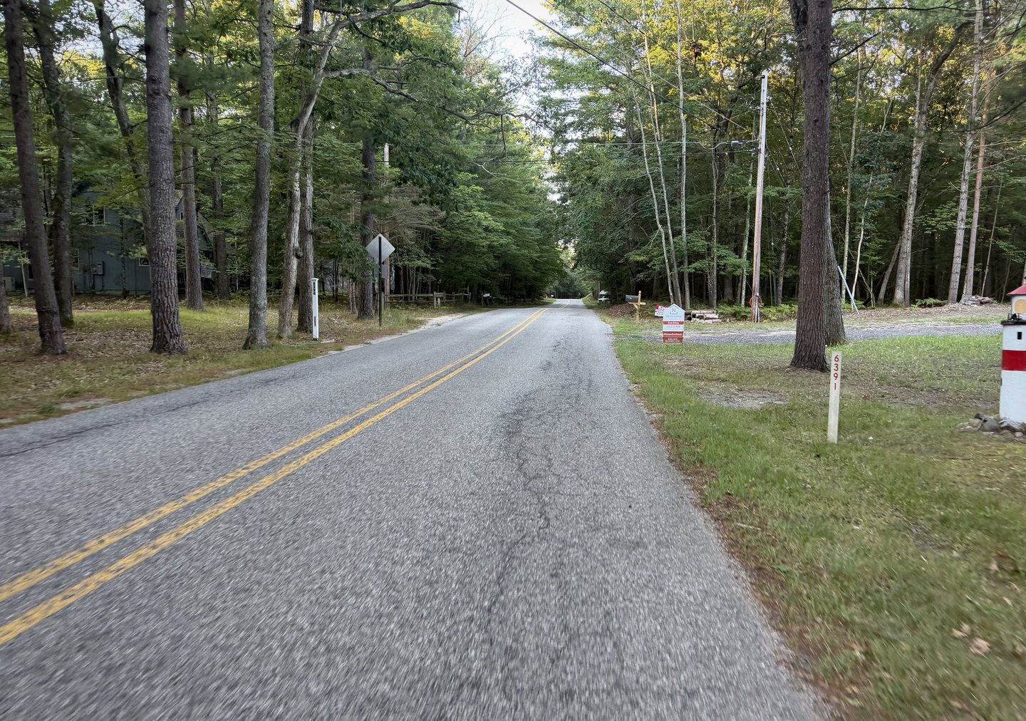 A quiet paved road winding through a green Michigan forest during the 2026 route.