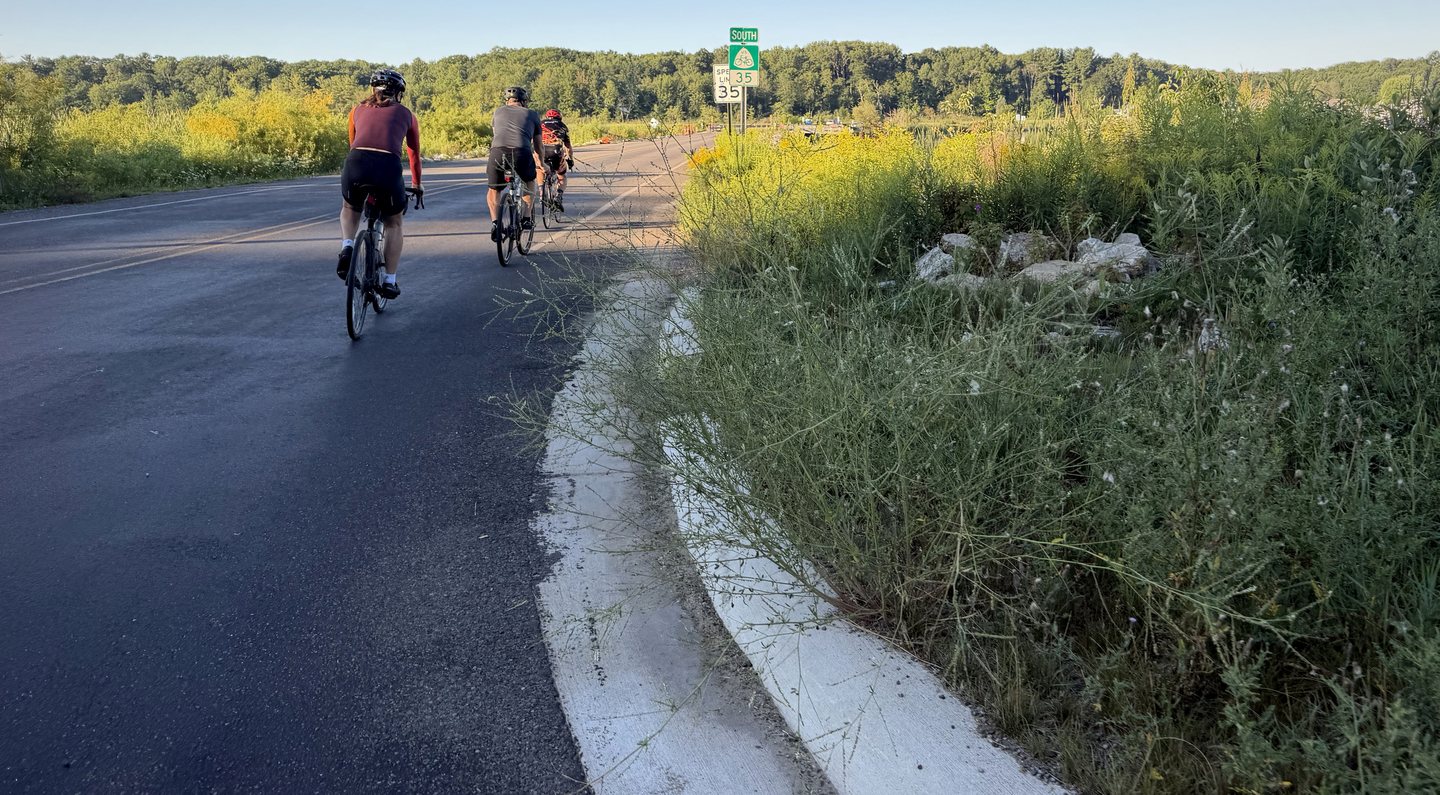 Cyclists riding past bright wildflowers near the lakeshore.