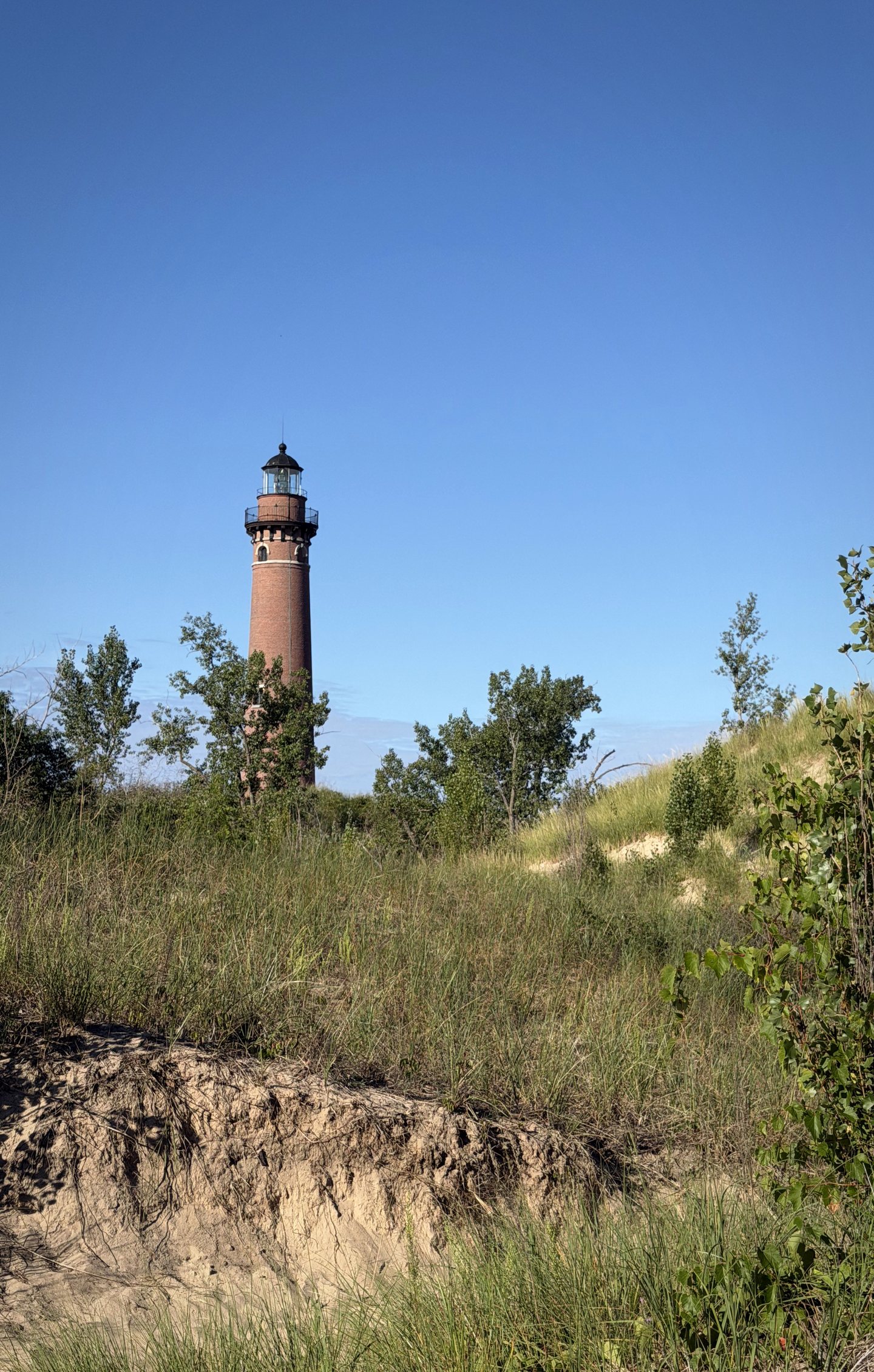 A brick lighthouse rising above sandy dunes and trees.