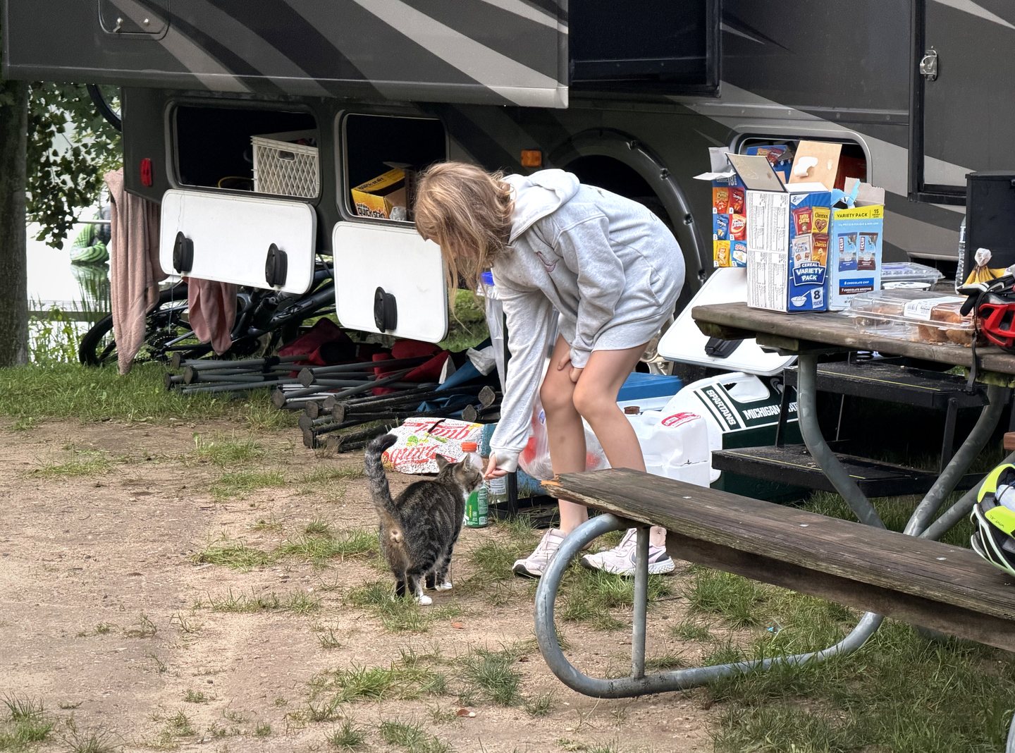 A campground cat beside the RV in the morning.