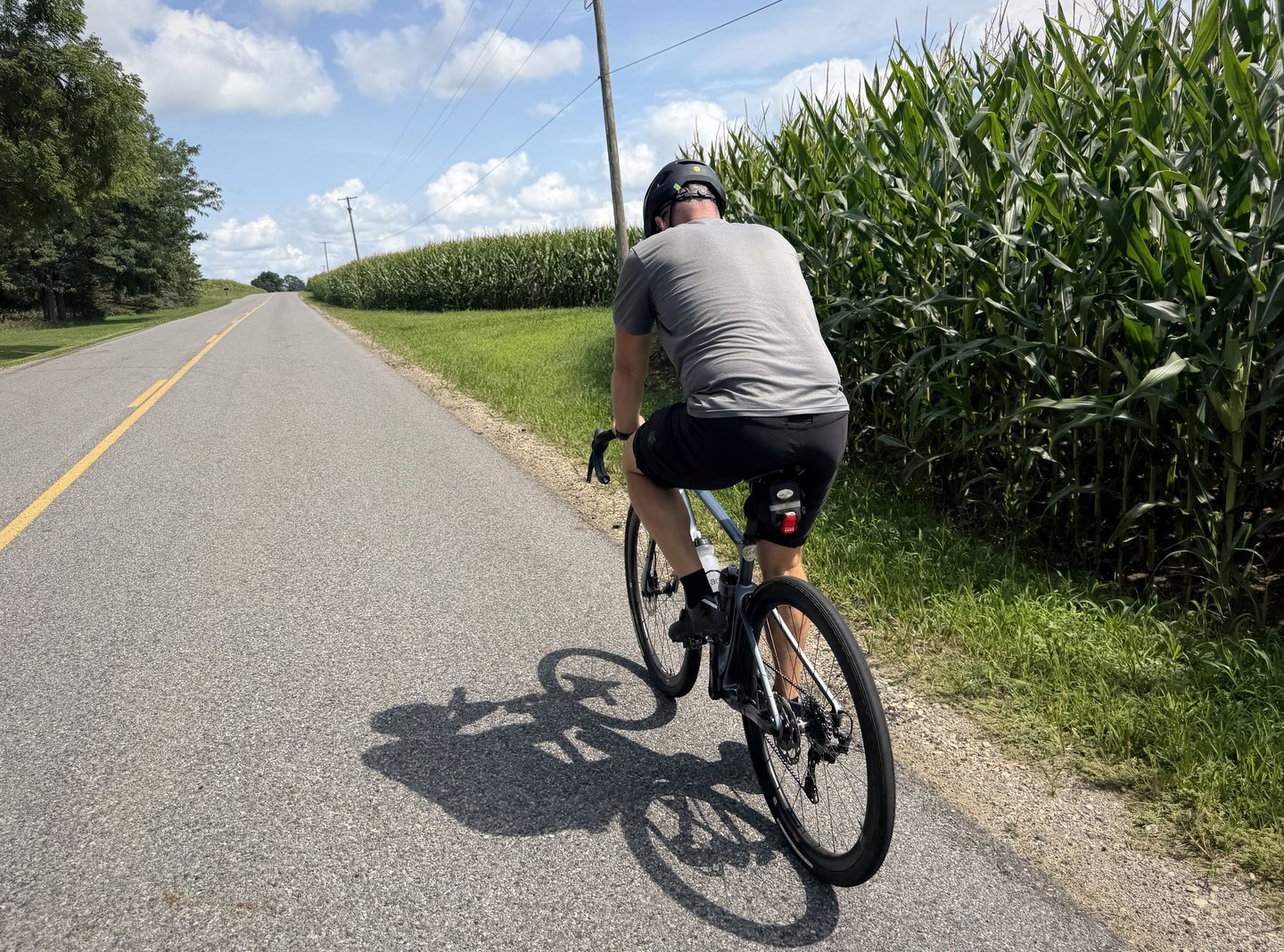 A cyclist riding along a country road beside a tall cornfield.